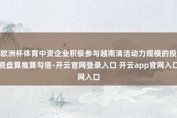 欧洲杯体育中资企业积极参与越南清洁动力规模的投资盘算推算勾搭-开云官网登录入口 开云app官网入口