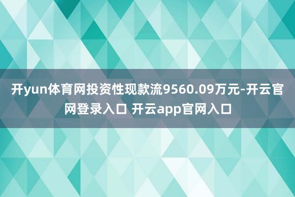 开yun体育网投资性现款流9560.09万元-开云官网登录入口 开云app官网入口