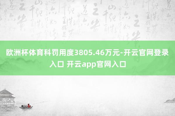 欧洲杯体育科罚用度3805.46万元-开云官网登录入口 开云app官网入口