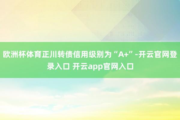 欧洲杯体育正川转债信用级别为“A+”-开云官网登录入口 开云app官网入口